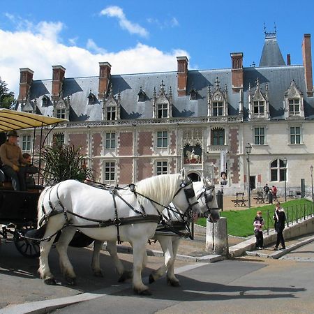 Blois City - Le Petit Saint Jean Eksteriør billede