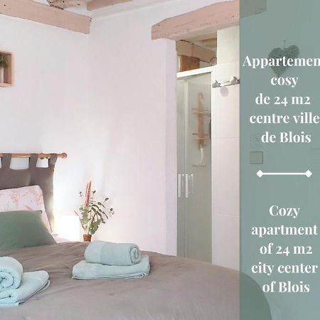 Blois City - Le Petit Saint Jean Eksteriør billede