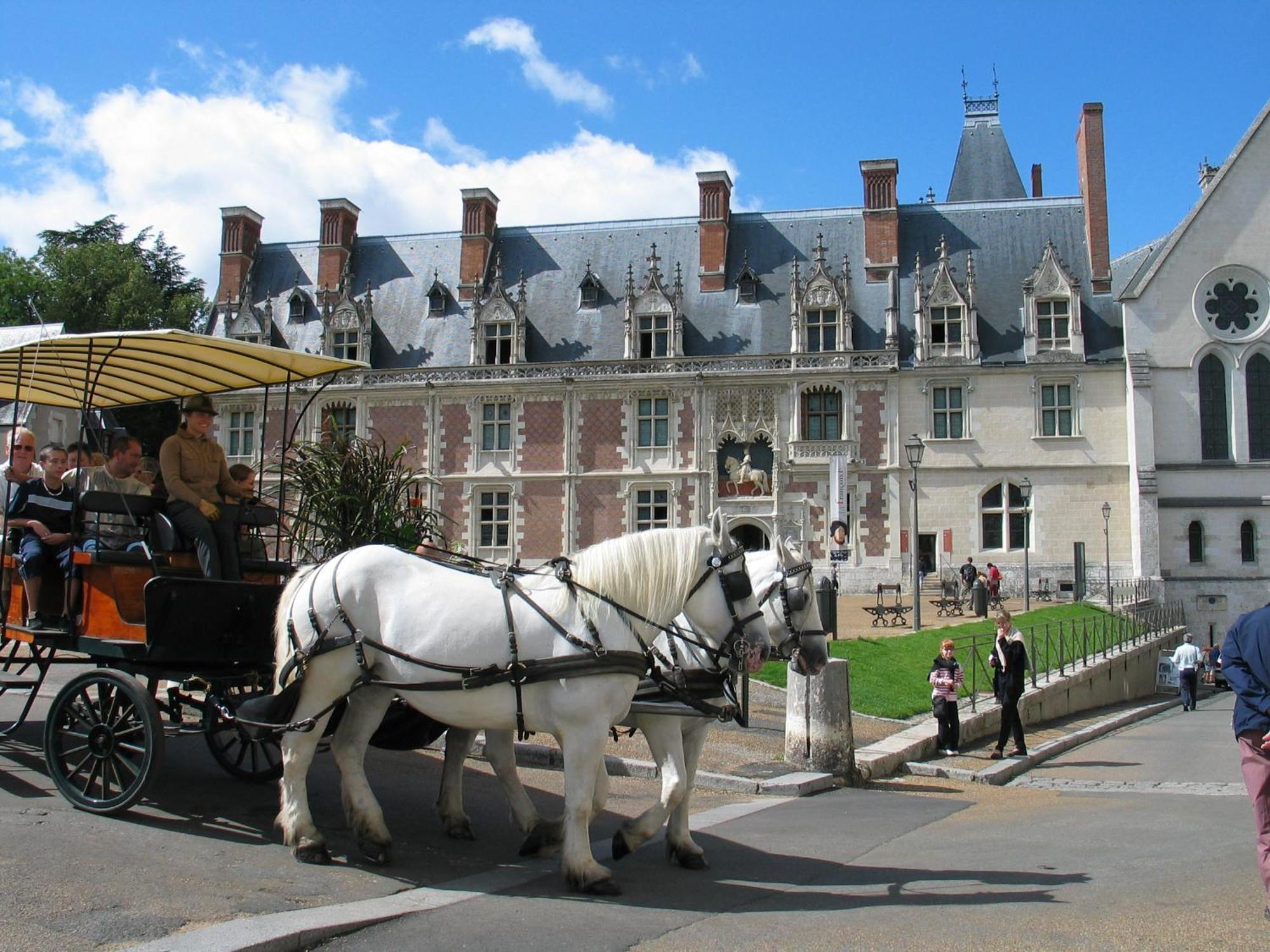 Blois City - Le Petit Saint Jean Eksteriør billede