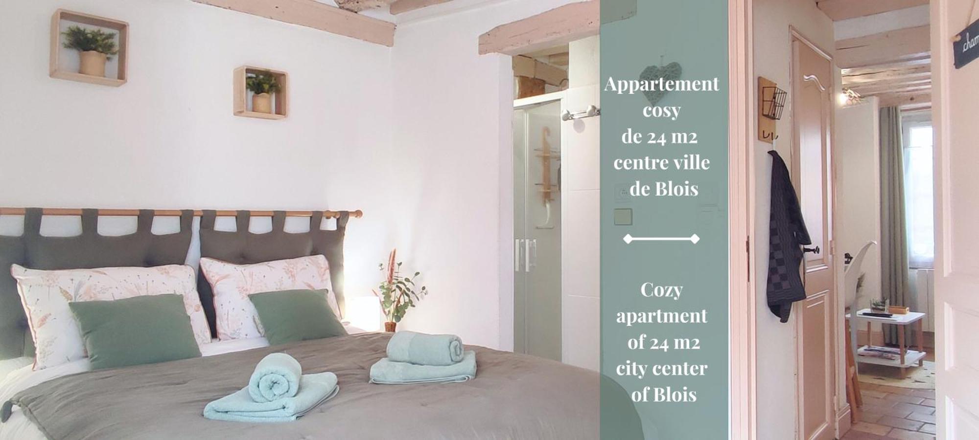 Blois City - Le Petit Saint Jean Eksteriør billede
